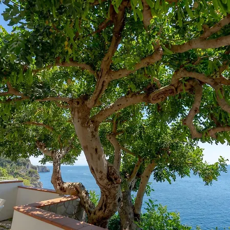 Сasa de vacaciones Lena Conca dei Marini